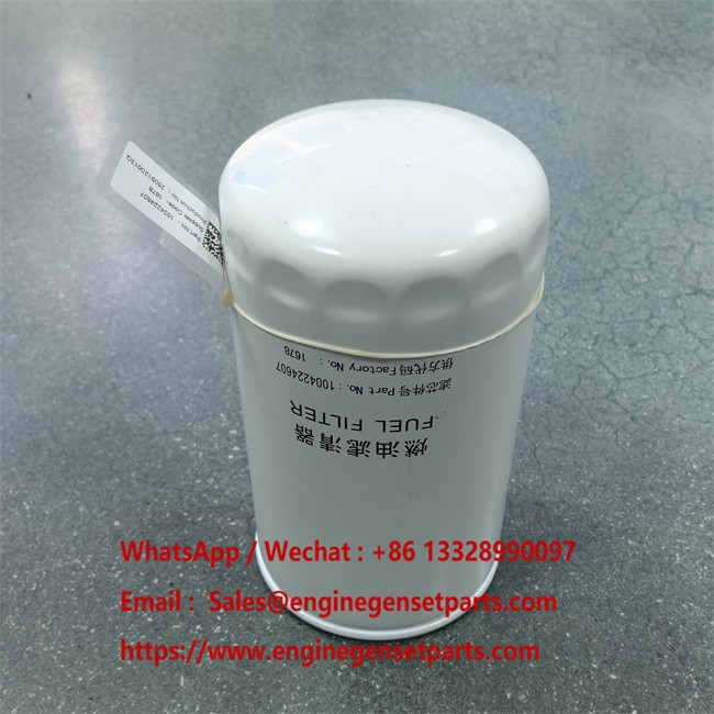 1004224607 Fuel Filter manufacturers