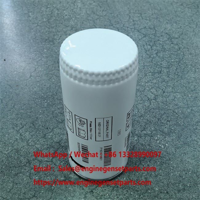 1006916029 Fuel Filter manufacturers