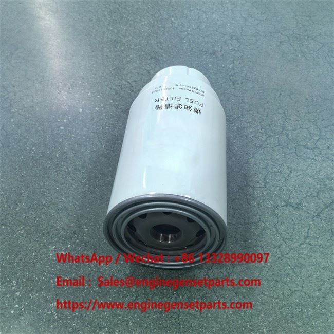 Fuel Filter 1006916028 factory