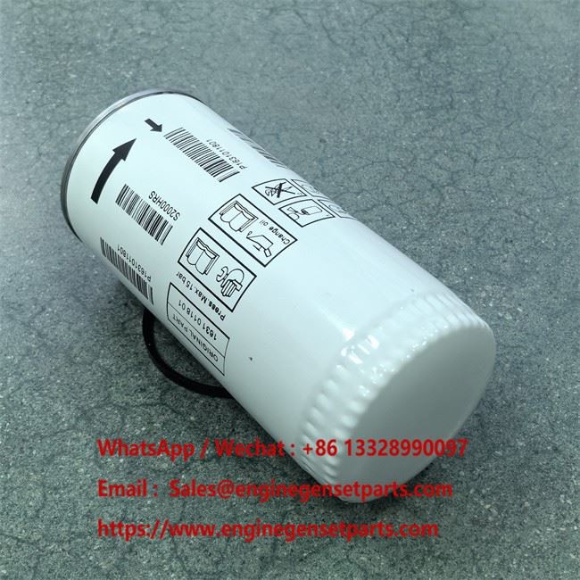 1006916029 Fuel Filter factory