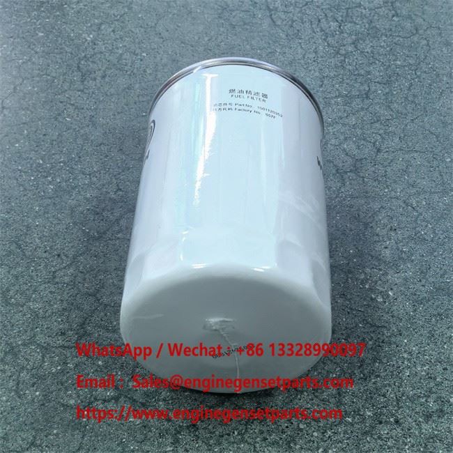 Fuel Filter 1001120353 factory