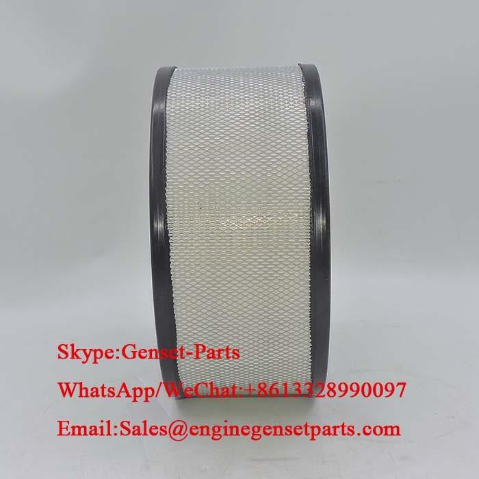 Air Filter P524369 AF1762 PA2091 PA2148