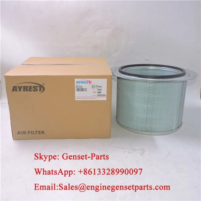 Air Filter 8N-2556 P523048 AF4878 For Caterpillar R1300 Air Filter 8N-2556 P523048 AF4878 For Caterpillar R1300