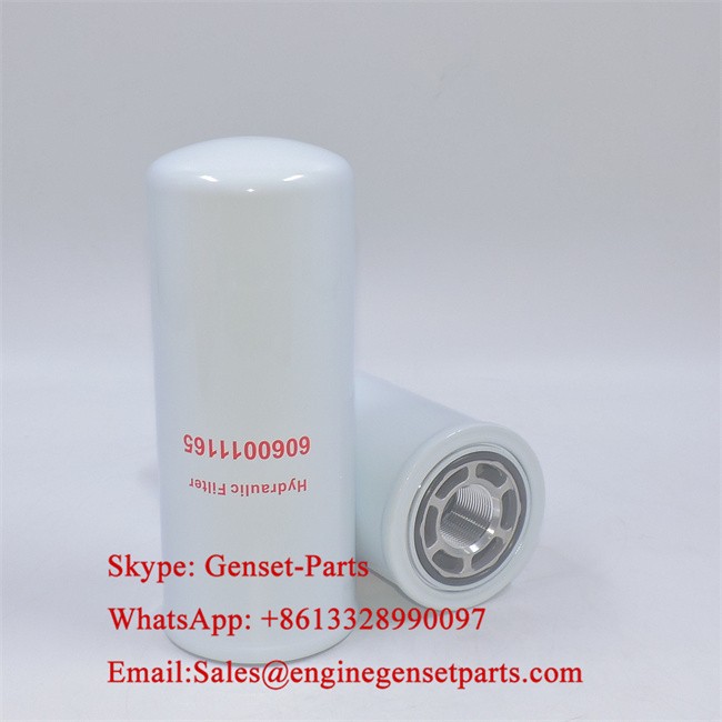 6060011165 Hydraulic Filter